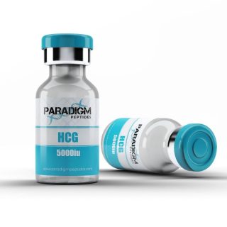 HCG 5000 IU Paradigm Peptides